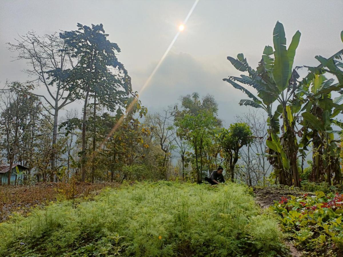 Live In Nature 大吉岭 外观 照片